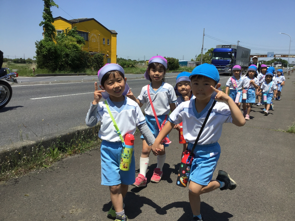 お散歩日和☀