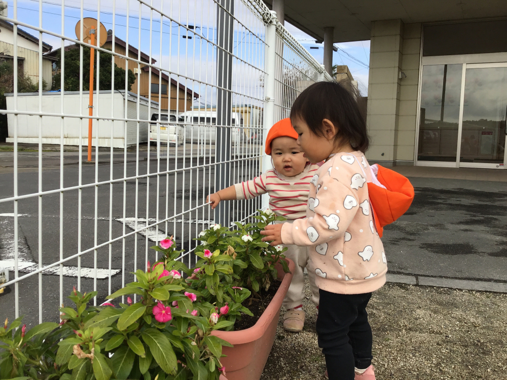 お散歩♪