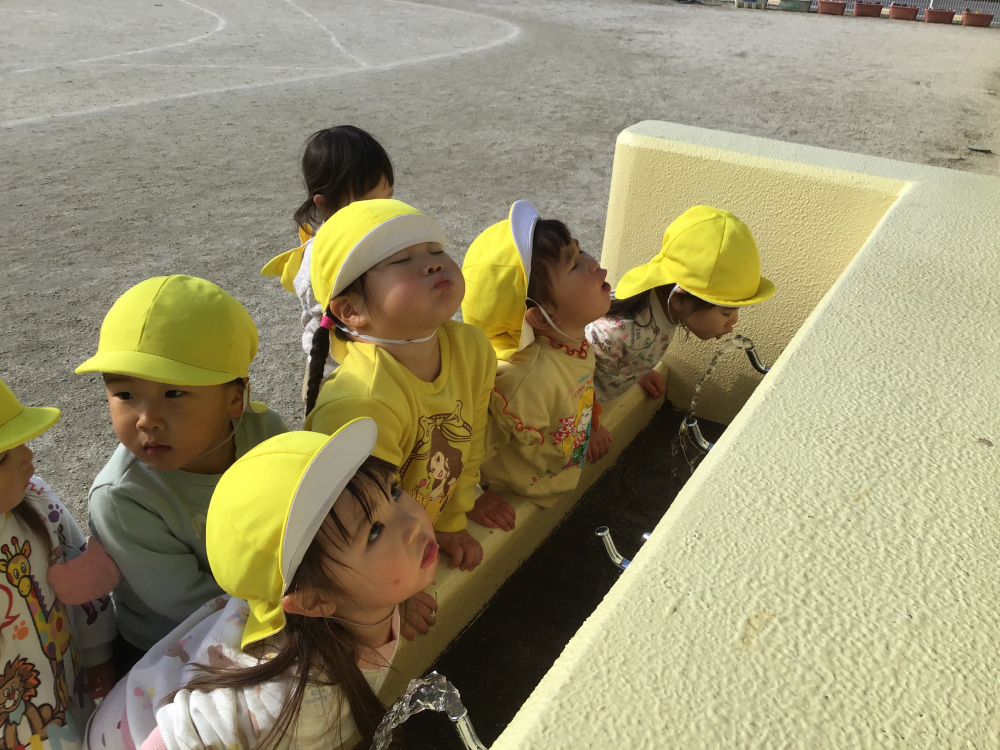 今年始めの散歩！